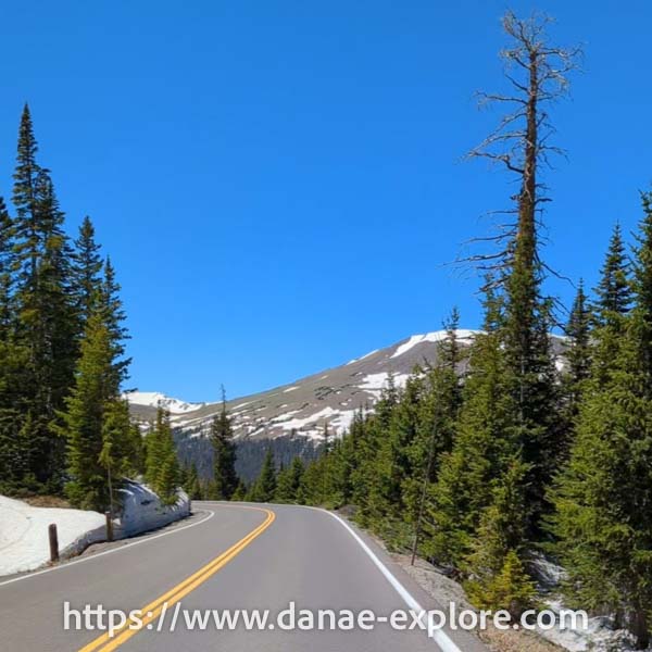 Trail Ridge Road, estrada que corta a parte mais alta do Rocky Mountain National Park, no Colorado, EUA, em dia de sol e céu azul, há pinheiros nas margens da estrada