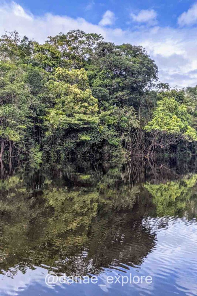 visão espelhada da Floresta Amazônica no Rio Negro, em dia com poucas nuvens
