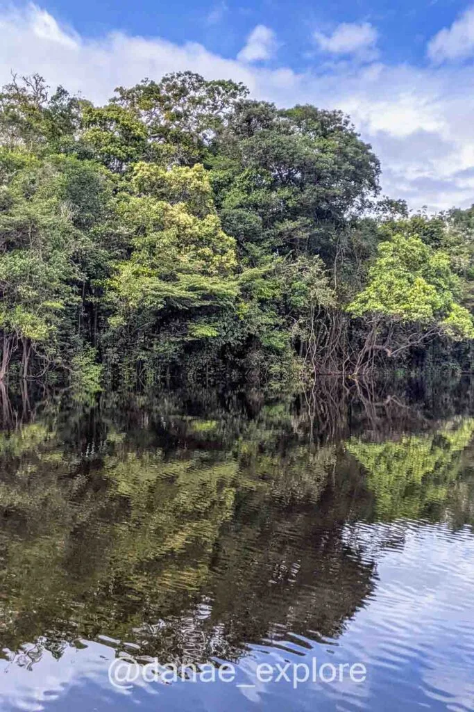 mirrored view of the Amazon Rainforest on the Rio Negro, on a day with few clouds