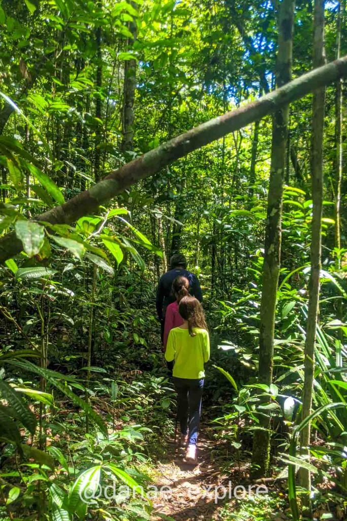 meninas caminham por trilha em meio a floresta amazônica, no Parque Nacional Anavilhanas