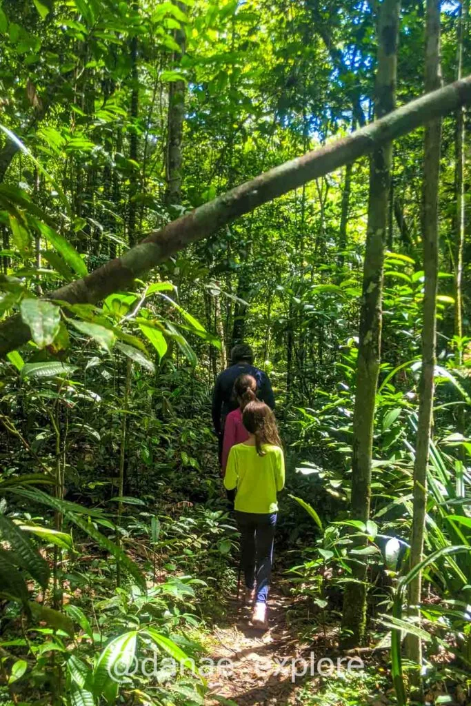 girls walk along a trail through the Amazon rainforest, in Anavilhanas National Park