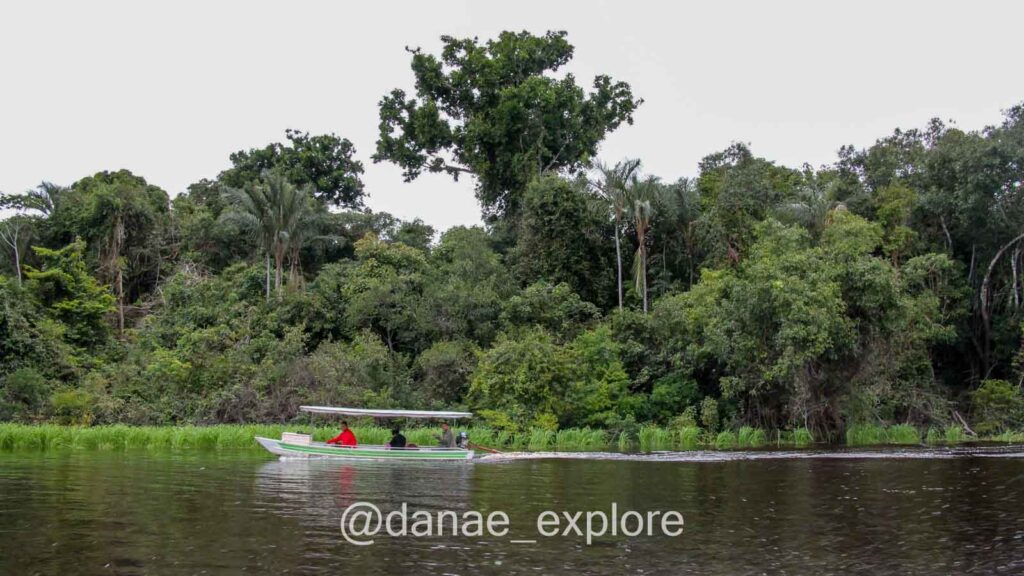 pequeno barco navegando pelo Rio Negro, na Floresta Amazônica, perto do Parque Nacional de Anavilhanas