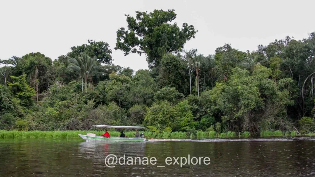 small boat sailing along the Rio Negro, in the Amazon Rainforest, near Anavilhanas National Park