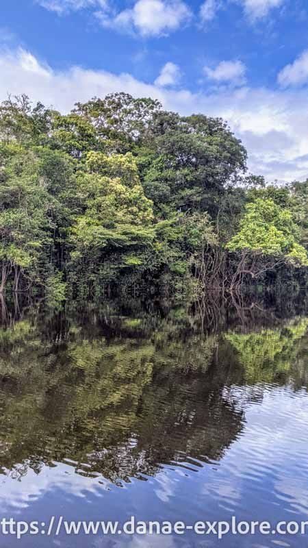 Mirror-like reflection of the Amazon rainforest on the Rio Negro under a lightly clouded sky