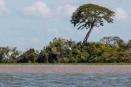 meeting of the waters of Tapajós (bluer area, at the bottom of the photo) and Amazonas (more brownish area, right in the center of the photo)