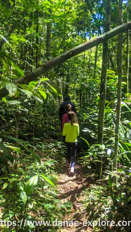 Guia e duas meninas na trilha para a Gruta do Madadá, Floresta Amazônica