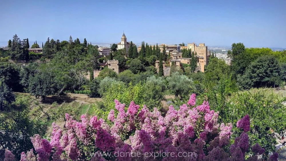 View of the Alhambra, in Granada, on a cloudless blue sky day. In the foreground you can see pink flowers.