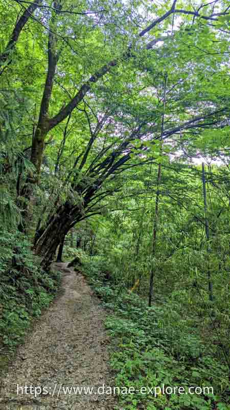 Caminhando pela Rota Nakasendo, de Magome à Tsumago, os mais lindos vilarejos do Japão medieval