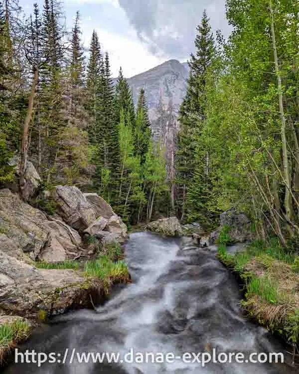 Riaccho in the woods - Rocky Mountain National Park - trails in the Bear Lake region