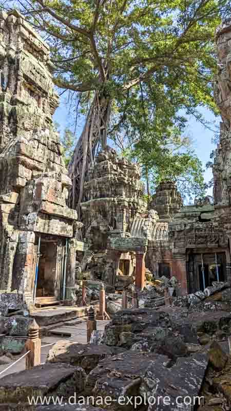 Ta Prohm (Tomb Raider Temple), Siem Reap, Camboja