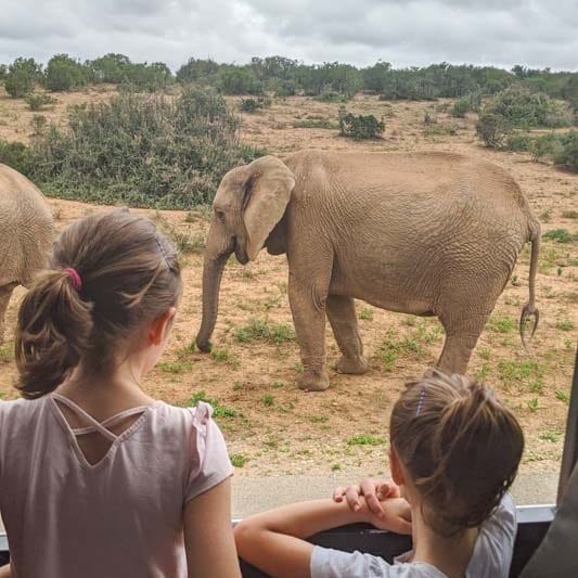 Crianças de costas para câmera observando elefante no Addo Elephant Park, na África do Sul