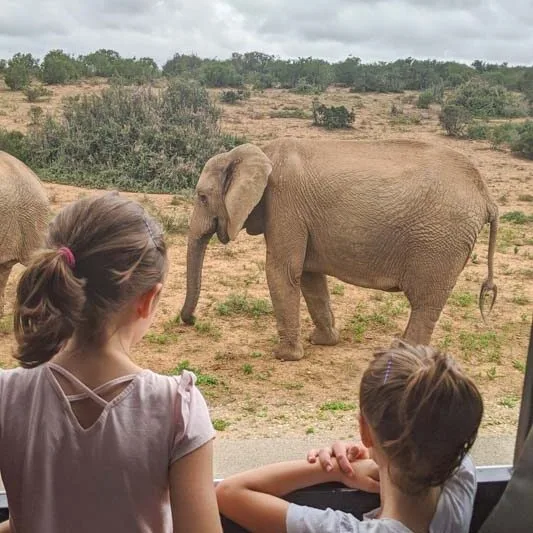 Children with their backs to the camera watching an elephant at Addo Elephant Park in South Africa