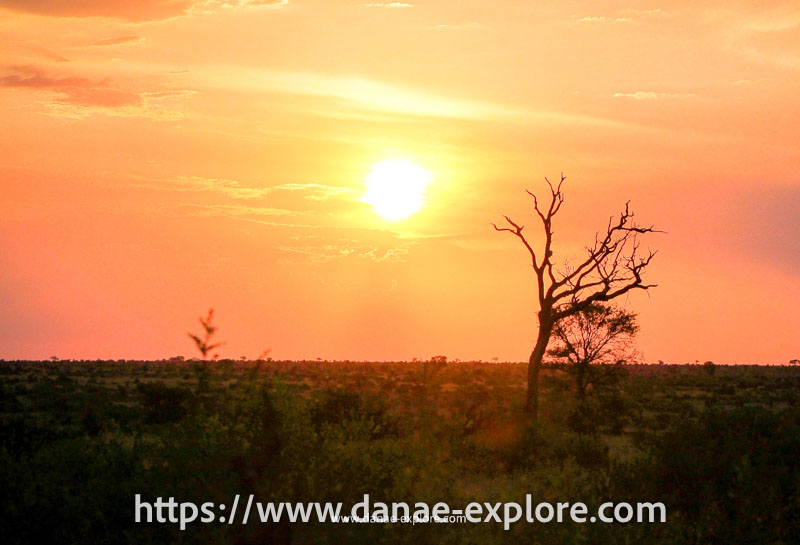 por do sol no Parque Nacional Kruger, África do Sul