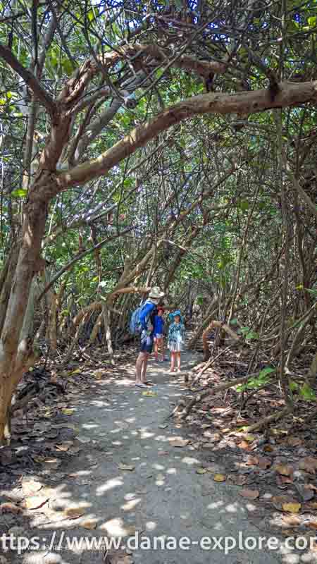 Pessoas em trilha no Parque Tayrona, Colombia