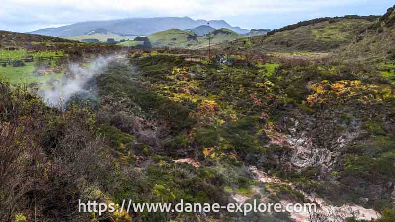 gases em meio a vegetação verde nas Furnas do Enxofre, Ilha Terceira, Açores