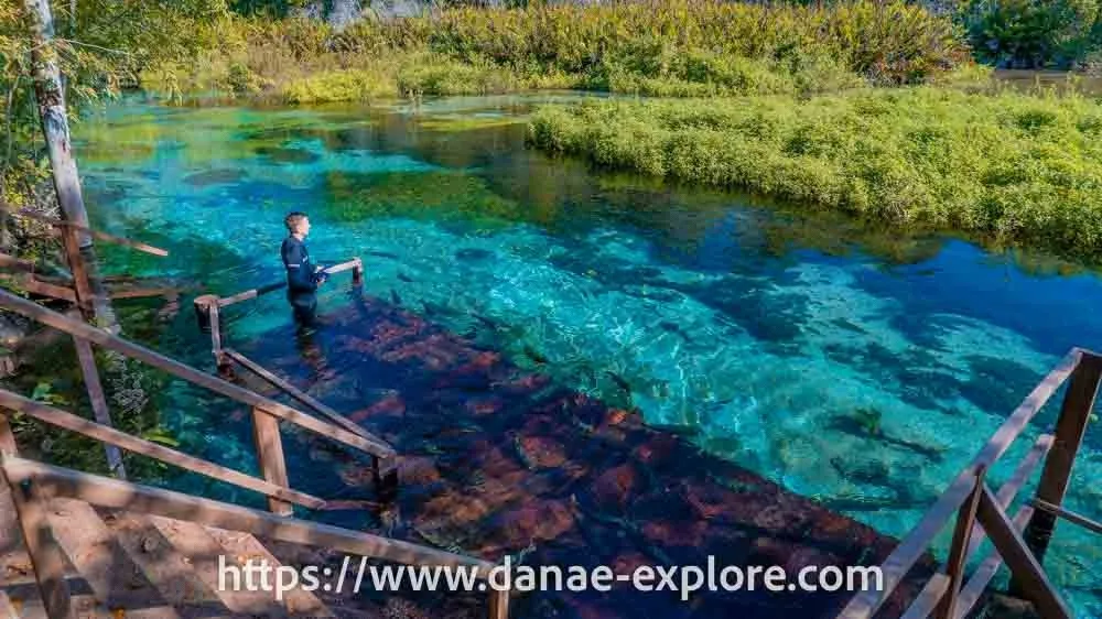 Visitor enters a crystal clear river surrounded by vegetation, one of the unmissable experiences in Bonito, Mato Grosso do Sul.