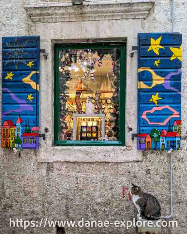 Janela de uma loja de souvenirs, a janela é decorada com ilustrações coloridas em fundo azul. Há um gato parado na frente.