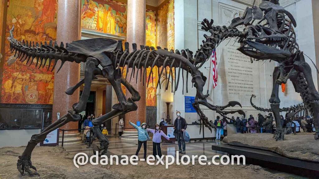 Esqueletos de dinossauros no Museu de História Natural de Nova Iorque