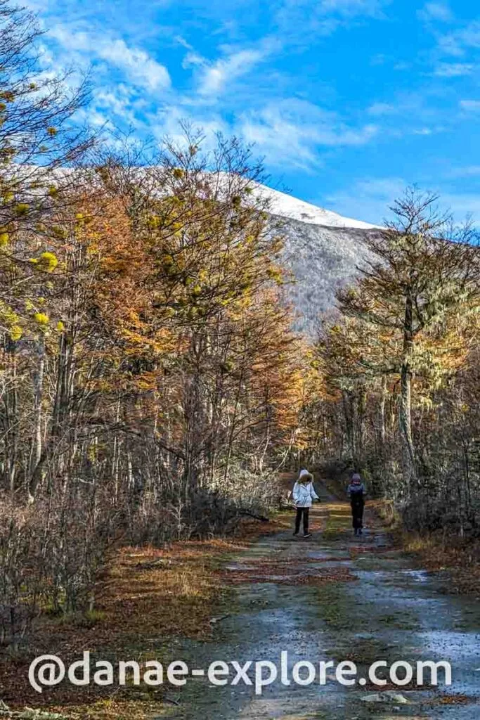 two girls walk along a trail in the middle of a subtropical forest in autumn tones. In the background you can see a snowy mountain, it is a blue sky day with few clouds