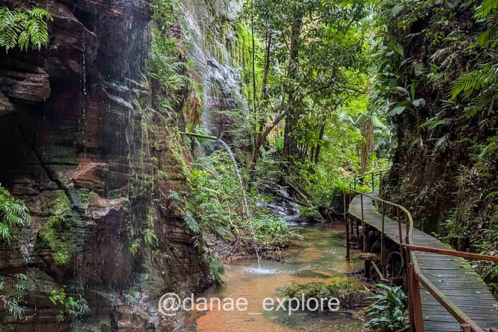 trilha para a Cachoeira do Santuário, no Complexo da Pedra Caída, parte de nosso roteirona Chapada das Mesas, no Maranhão.