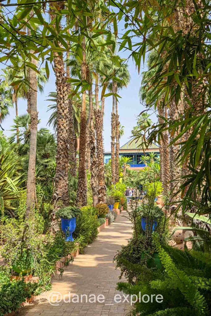 Caminho ladeado por palmeiras no jardim Majorelle, em Marrakesh