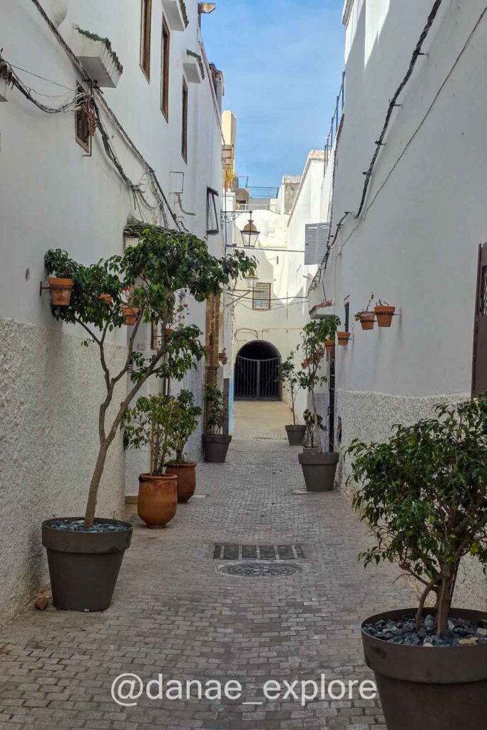 Ruela de medina de Rabat, com casas brancas evasos de árvores cítricas ao longo do caminho