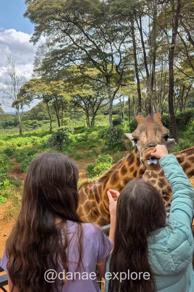 duas crianças, de costas para câmera, alimentam girafa no Giraffe Center, em Nairobi, primeira parada de nosso roteiro pelo Quênia e Tanzânia
