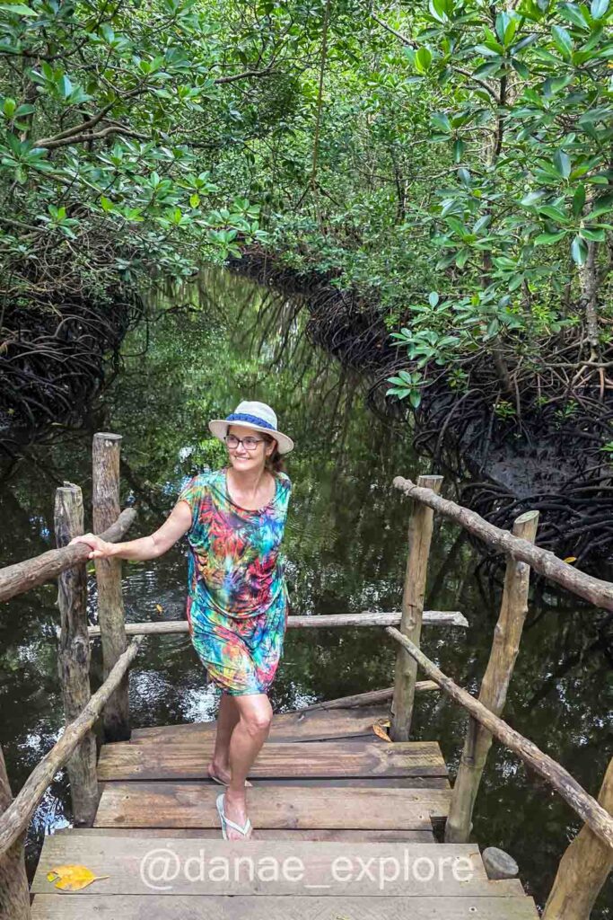 Moça em vestido estampado e chapéu em escada de madeira em mangue na Floresta Jozani, parte de nossas sugestões do que fazer em Zanzibar