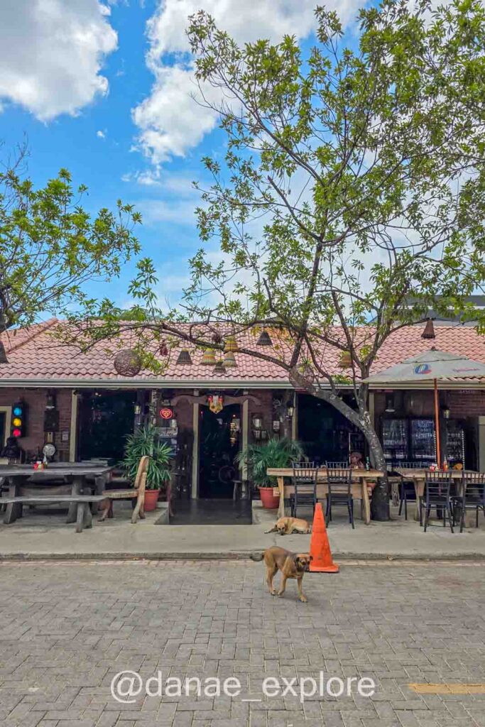 Cena típica do vilarejo de São Jorge: restaurante com mesas ao ar livre em calçada de paralelepípedo, com árvores, decoração simples e cães soltos pela rua.
