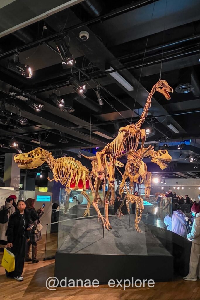 Esqueletos de dinossauros no Melbourne Museum